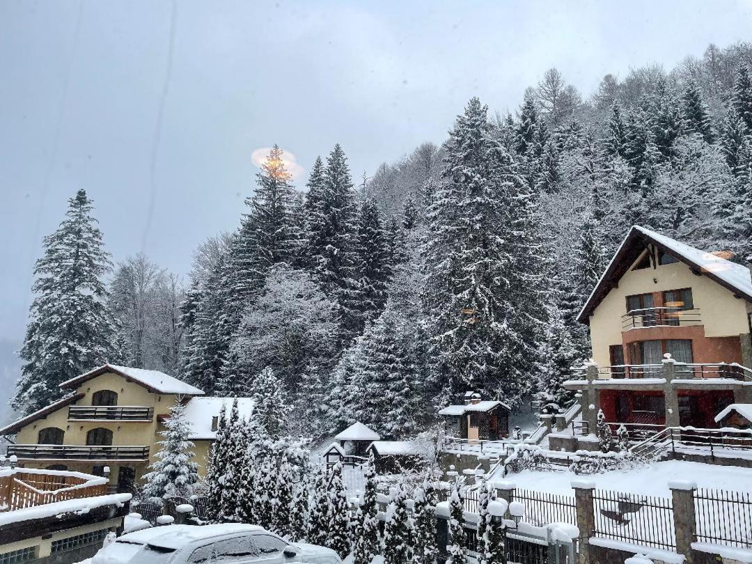 7Soapte Timisu de Jos Exterior foto