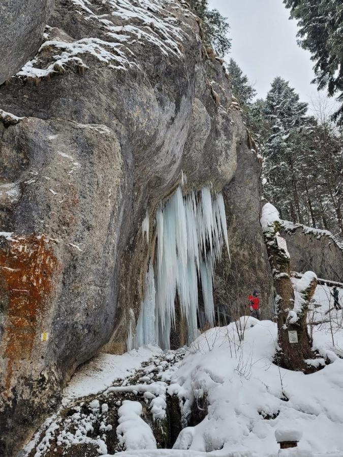 7Soapte Timisu de Jos Exterior foto